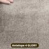 Antelope 4 GLORY
