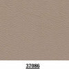 Beige Foncé 37086