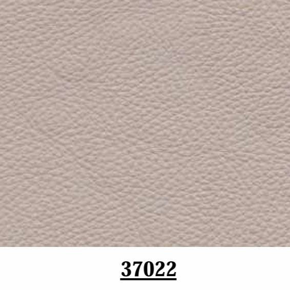 Cuir Gris Clair 37022