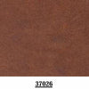 Gris clair 37022