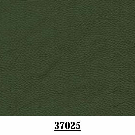 Cuir Vert Foncé 37025
