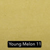 YOUNG MELON 11