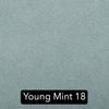 YOUNG MINT 18